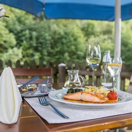 فندق Hanses-braeutigam