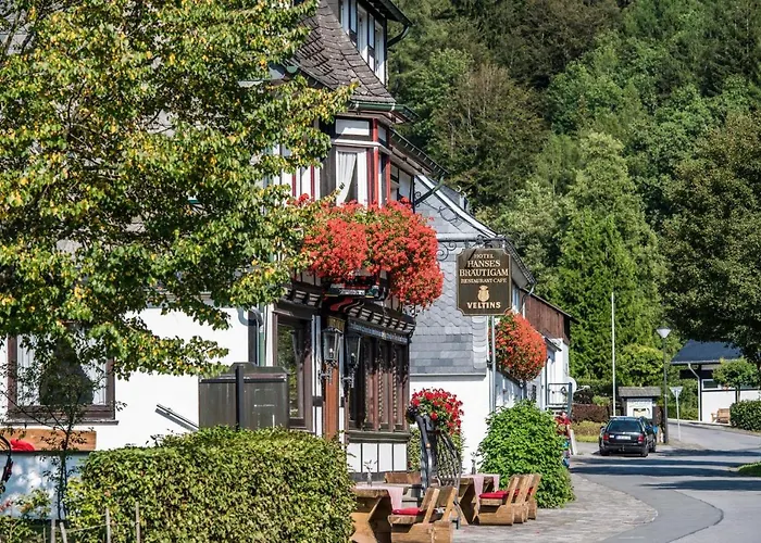 Hanses-braeutigam 3* Schmallenberg